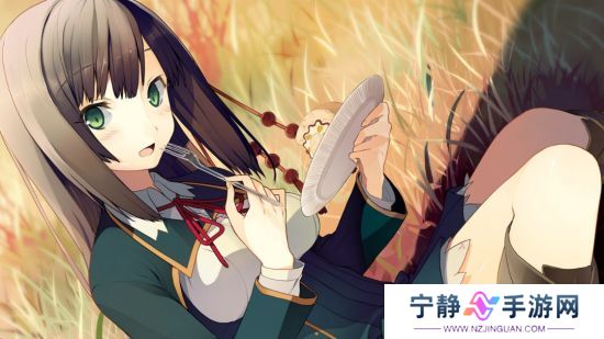 雪碧社作品《恋爱与选举与巧克力》Steam页面上线 年内发售