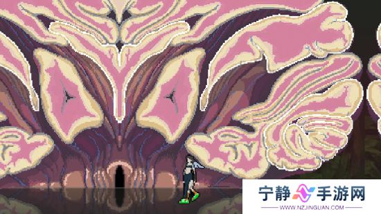 像素风2D俯视角动作弹幕游戏《SONOKUNI》现已推出试玩Demo