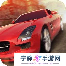 真实汽车锦标赛 手游 v1.0.1