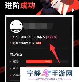 B站硬核会员有什么用