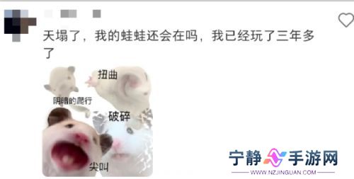 曾经爆火的《旅行青蛙》，渠道服纷纷关停，如今团队只剩5人不到