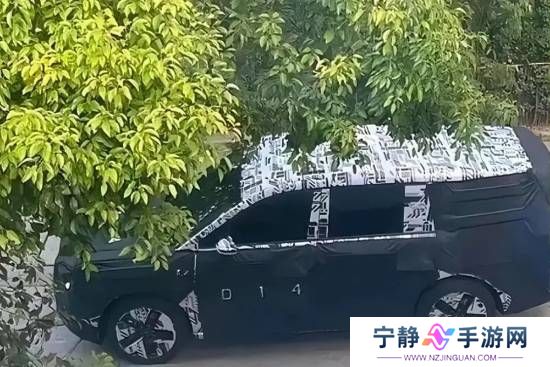 本站