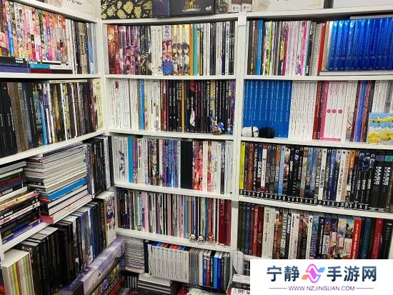 本站
