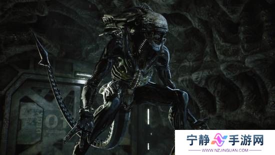 本站