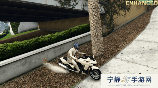 本站